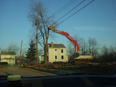 Amazing how they turn a tree into twigs so easy.