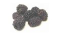 Blackberry Recipes