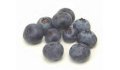 Blueberry Recipes