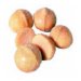 macadamia nut