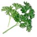 parsley