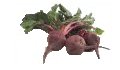 Beet Recipes