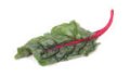 Swiss Chard Recipes