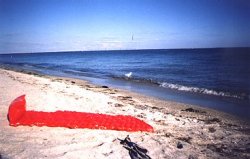 Groovy beach view with raft transportation.