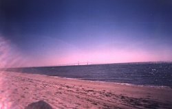 Skyway Bridge.